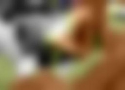 在线视频国产欧美,在线视频内容的风云变幻