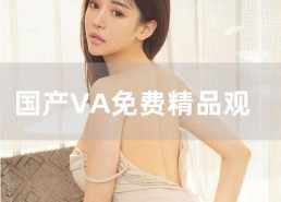 国产va在线视频,探索视觉艺术的新天地